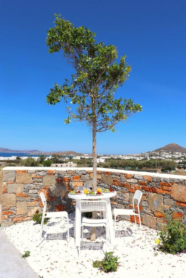 The Nine Graces - Agia Anna - Option With Private Pool Or Hot Tub Βίλα Εξωτερικό φωτογραφία