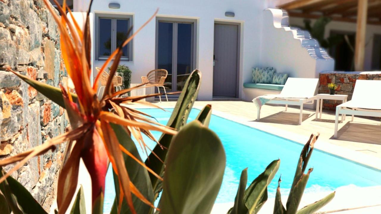 The Nine Graces - Agia Anna - Option With Private Pool Or Hot Tub Βίλα Εξωτερικό φωτογραφία